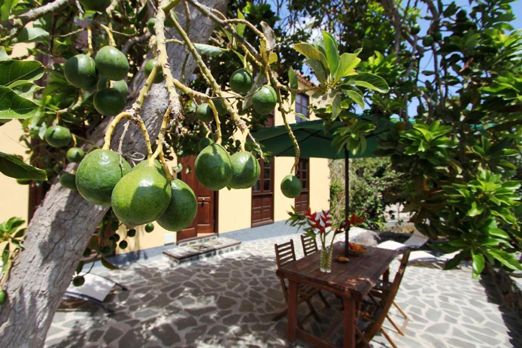 Casa Rural Los Aromos - Wunderschones Landhaus Mit Meerblick Hermigua Exteriér fotografie