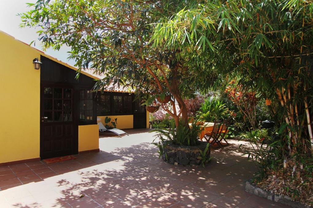Casa Rural Los Aromos - Wunderschones Landhaus Mit Meerblick Hermigua Exteriér fotografie